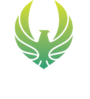 Parkour Webs
